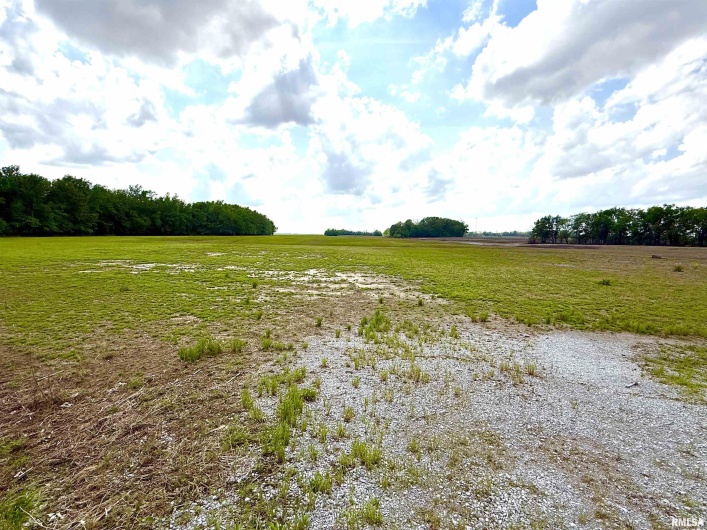 000 Shawneetown New Haven Road, Elizabethtown, Illinois 62931, 0 , 0 ,0,Land,For Sale,Shawneetown New Haven,0,RMAEB457750