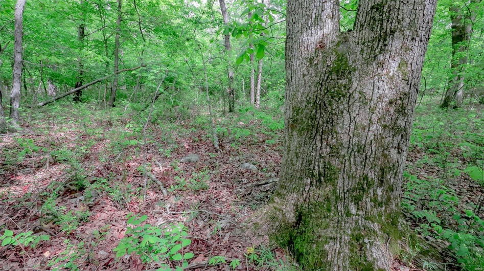 0 Mo-221, Ironton, Missouri 63650, ,Land,For Sale,Mo-221,MAR25027903