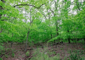 0 Mo-221, Ironton, Missouri 63650, ,Land,For Sale,Mo-221,MAR25027903
