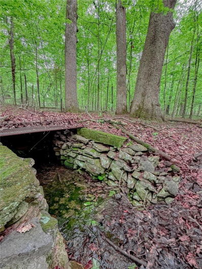 0 Mo-221, Ironton, Missouri 63650, ,Land,For Sale,Mo-221,MAR25027903