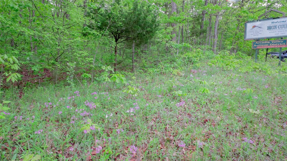 0 Mo-221, Ironton, Missouri 63650, ,Land,For Sale,Mo-221,MAR25027903