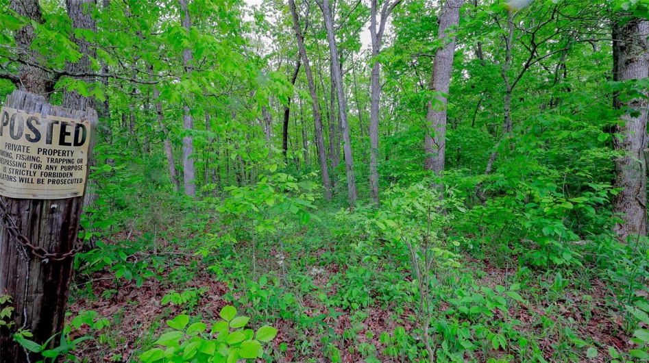 0 Mo-221, Ironton, Missouri 63650, ,Land,For Sale,Mo-221,MAR25027903