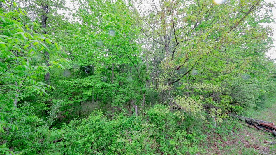 0 Mo-221, Ironton, Missouri 63650, ,Land,For Sale,Mo-221,MAR25027903