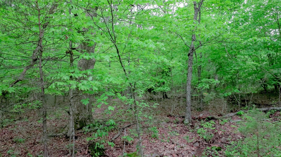 0 Mo-221, Ironton, Missouri 63650, ,Land,For Sale,Mo-221,MAR25027903