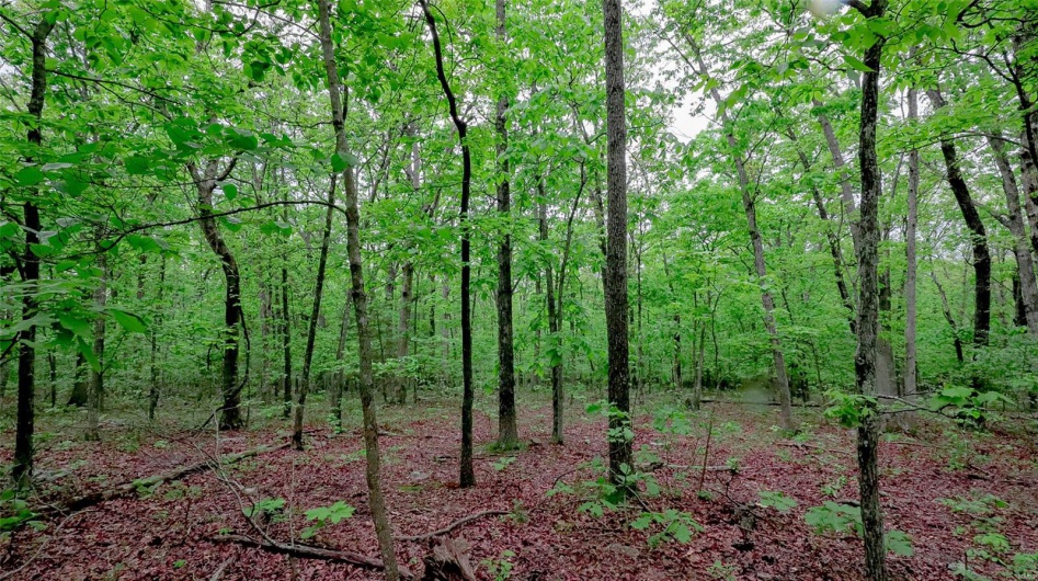 0 Mo-221, Ironton, Missouri 63650, ,Land,For Sale,Mo-221,MAR25027903