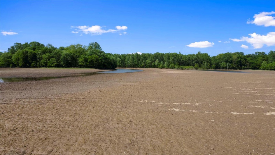 0 County Road 369, Caruthersville, Missouri 63830, ,Farm,For Sale,County Road 369,MAR25027161