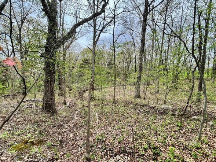 View of nature with a wooded view