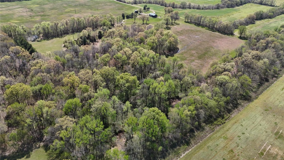 Bird's eye view with a view of trees and a rural view