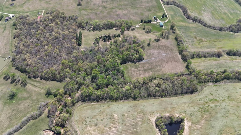 Bird's eye view with a rural view