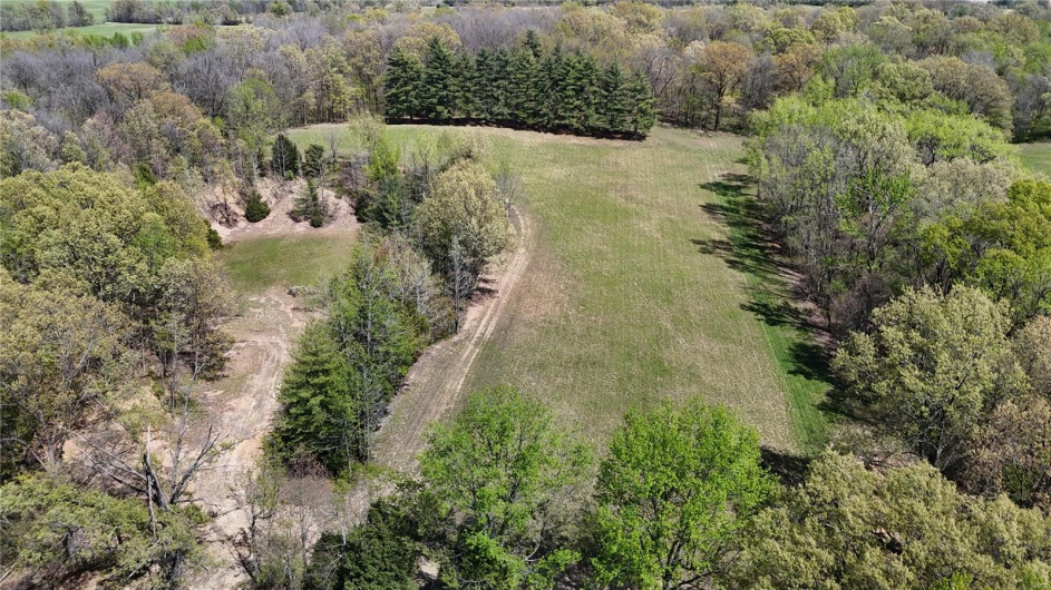Bird's eye view with a view of trees