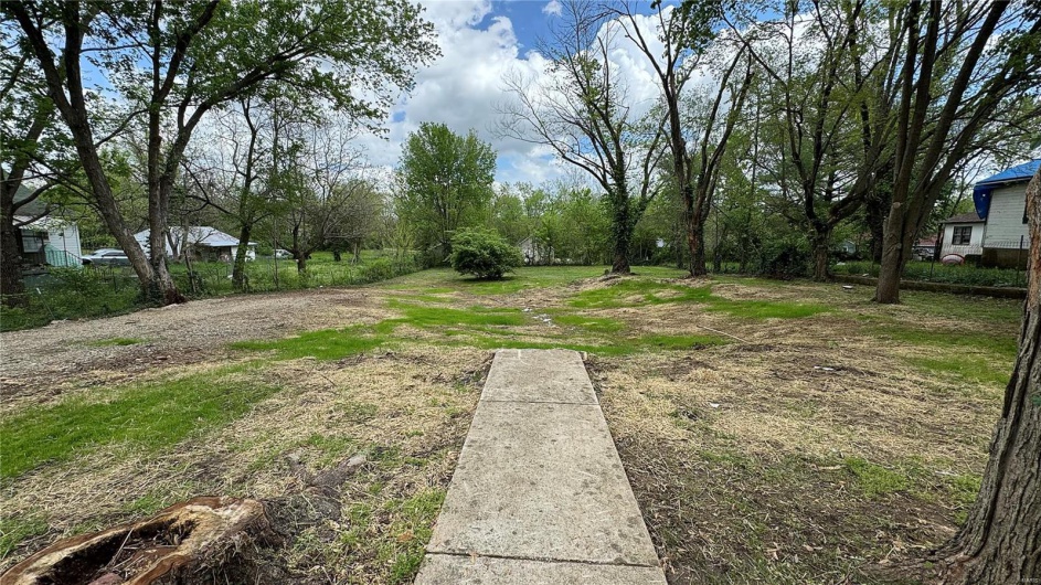 708 Hunt Street, Leadwood, Missouri 63653, ,Land,For Sale,Hunt,MAR25023929