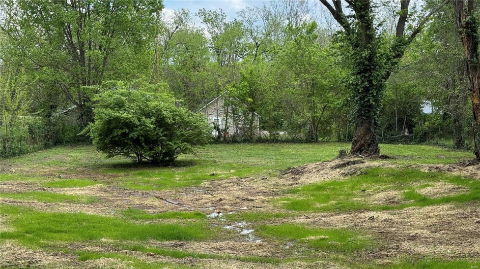 708 Hunt Street, Leadwood, Missouri 63653, ,Land,For Sale,Hunt,MAR25023929