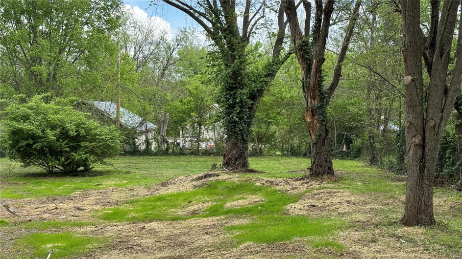 708 Hunt Street, Leadwood, Missouri 63653, ,Land,For Sale,Hunt,MAR25023929