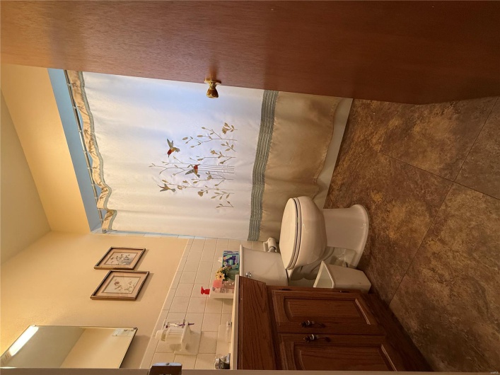 Main floor bathroom 