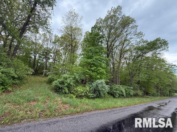 TBD COUNTRY CLUB Road, Marion, Illinois 62959, 0 , 0 ,0,Land,For Sale,COUNTRY CLUB,0,RMAEB457773