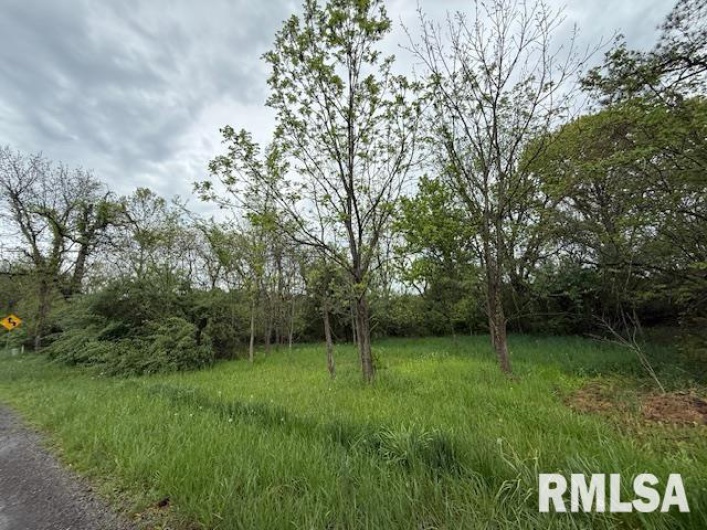 TBD COUNTRY CLUB Road, Marion, Illinois 62959, 0 , 0 ,0,Land,For Sale,COUNTRY CLUB,0,RMAEB457773