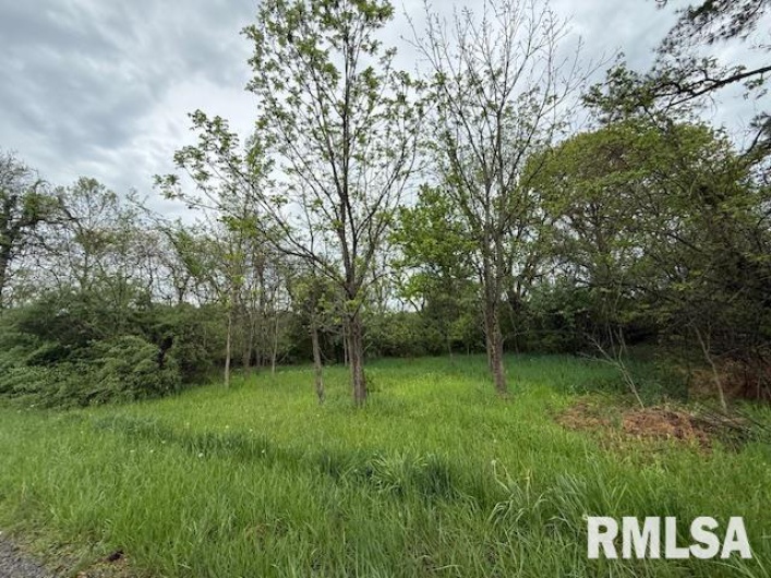 TBD COUNTRY CLUB Road, Marion, Illinois 62959, 0 , 0 ,0,Land,For Sale,COUNTRY CLUB,0,RMAEB457773