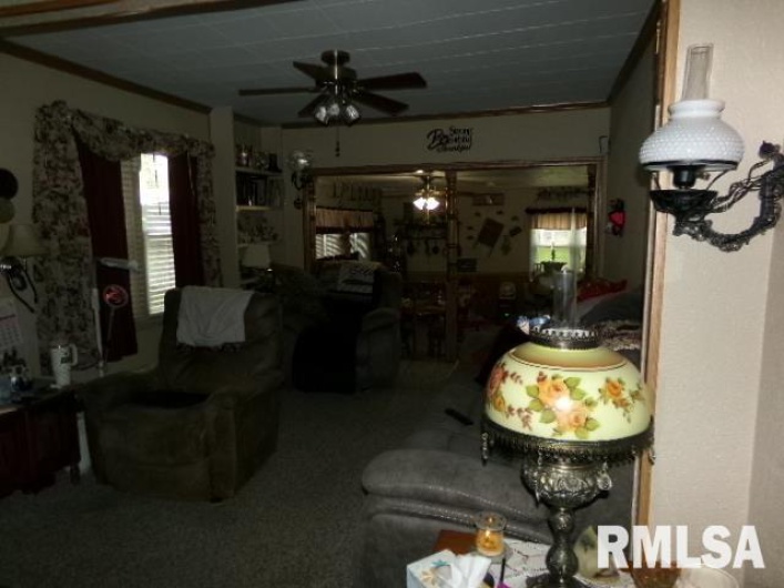 217 Trammel Road, Carrier Mills, Illinois 62917, 4 Bedrooms Bedrooms, 0 ,1 BathroomBathrooms,Residential,For Sale,Trammel,0,RMAEB457782