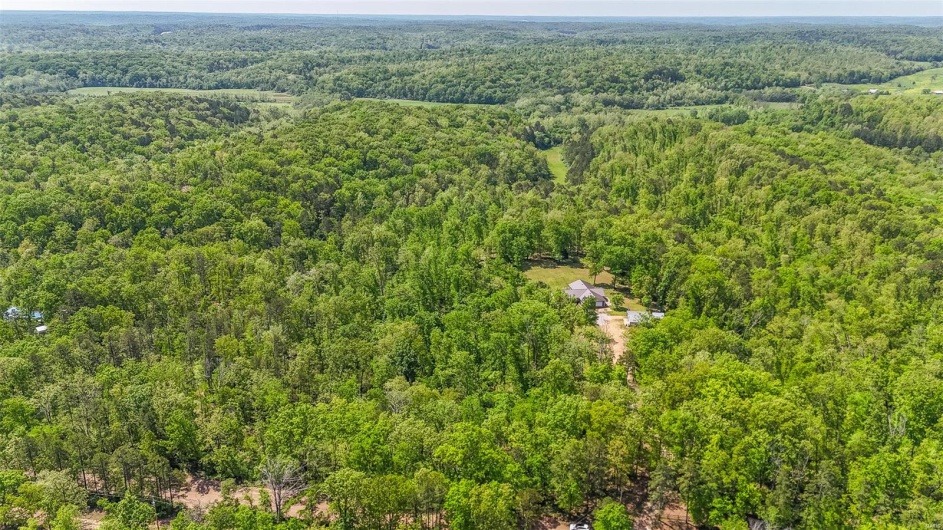 Aerial view featuring a forest view