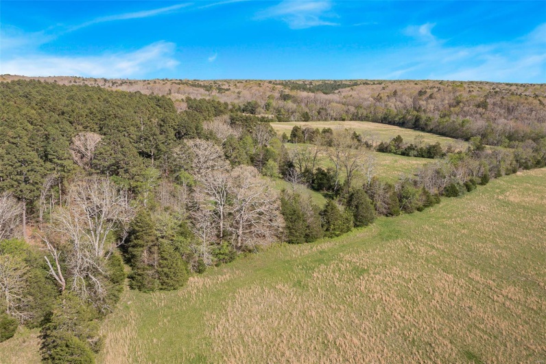 858 Wayne RM, Silva, Missouri 63964, 3 Bedrooms Bedrooms, 12 Rooms Rooms,3 BathroomsBathrooms,Farm,For Sale,Wayne RM,MAR25012560