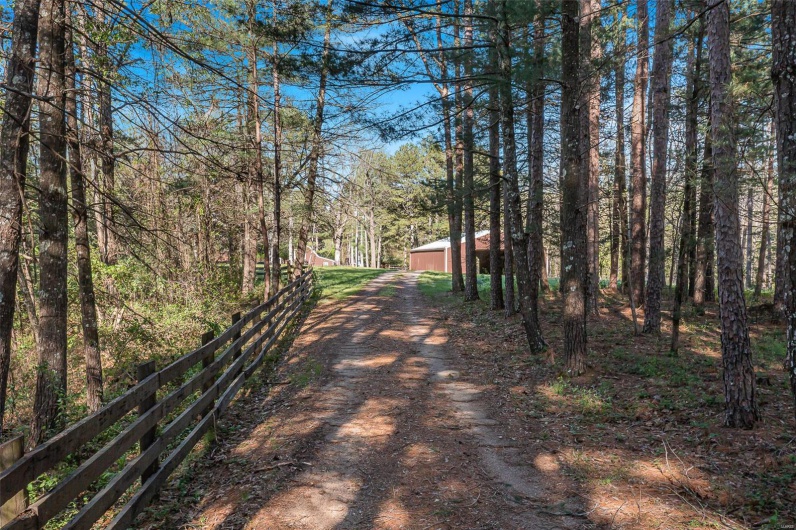 858 Wayne RM, Silva, Missouri 63964, 3 Bedrooms Bedrooms, 12 Rooms Rooms,3 BathroomsBathrooms,Farm,For Sale,Wayne RM,MAR25012560