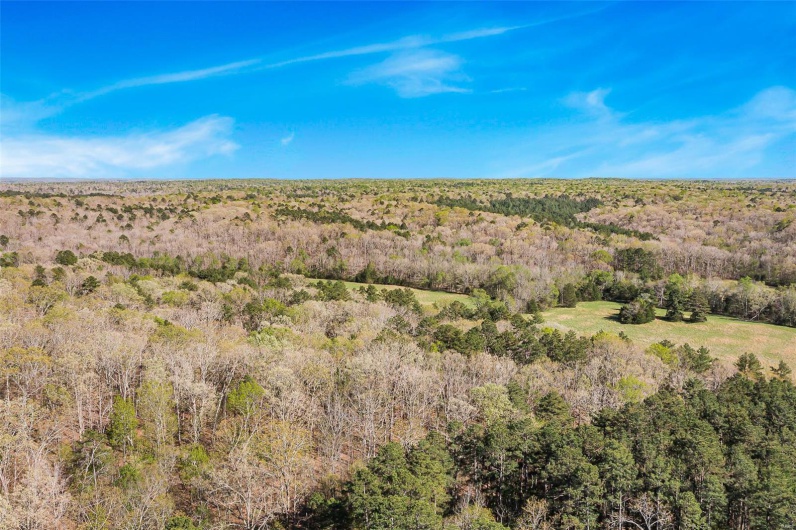 858 Wayne RM, Silva, Missouri 63964, 3 Bedrooms Bedrooms, 12 Rooms Rooms,3 BathroomsBathrooms,Farm,For Sale,Wayne RM,MAR25012560
