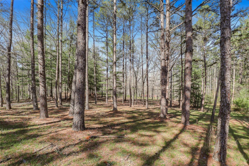 858 Wayne RM, Silva, Missouri 63964, 3 Bedrooms Bedrooms, 12 Rooms Rooms,3 BathroomsBathrooms,Farm,For Sale,Wayne RM,MAR25012560