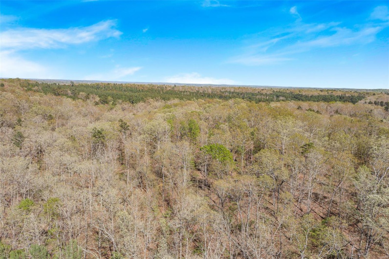858 Wayne RM, Silva, Missouri 63964, 3 Bedrooms Bedrooms, 12 Rooms Rooms,3 BathroomsBathrooms,Farm,For Sale,Wayne RM,MAR25012560