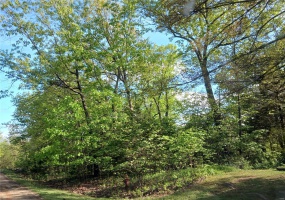 0 Rue Regina, Bonne Terre, Missouri 63628, ,Land,For Sale,Rue Regina,MAR25029021