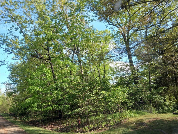 0 Rue Regina, Bonne Terre, Missouri 63628, ,Land,For Sale,Rue Regina,MAR25029021