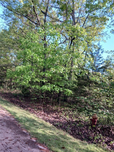 0 Rue Regina, Bonne Terre, Missouri 63628, ,Land,For Sale,Rue Regina,MAR25029021