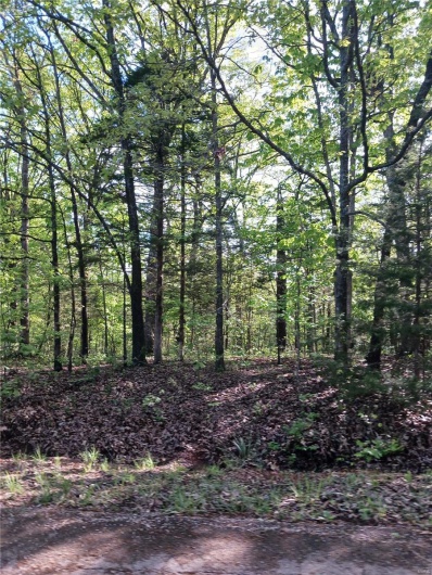 0 Rue Regina, Bonne Terre, Missouri 63628, ,Land,For Sale,Rue Regina,MAR25029021