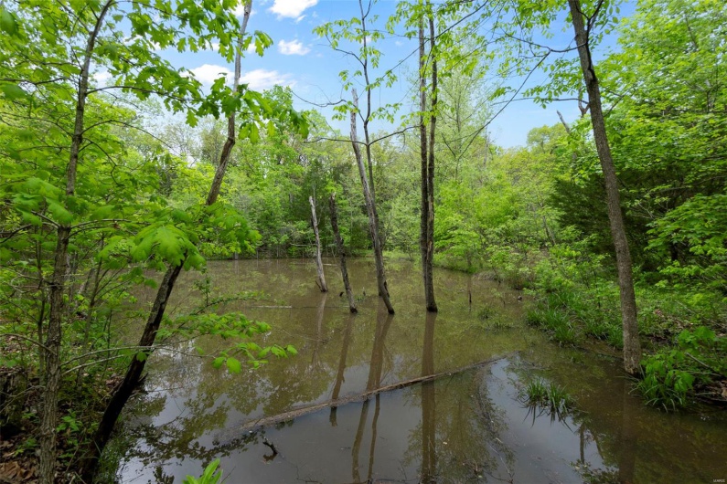 0 Blackberry Hills Rd, Bloomsdale, Missouri 63627, ,Farm,For Sale,Blackberry Hills Rd,MAR25029045