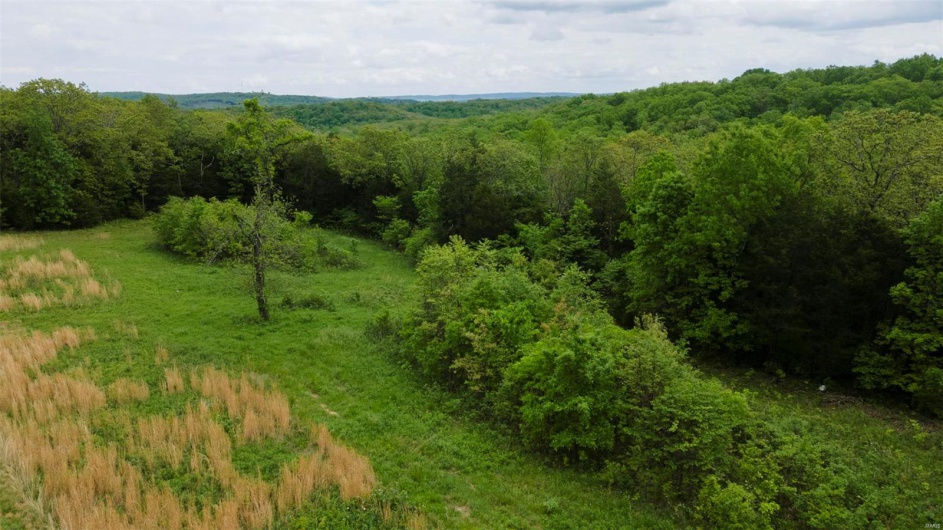 0 Blackberry Hills Rd, Bloomsdale, Missouri 63627, ,Farm,For Sale,Blackberry Hills Rd,MAR25029045