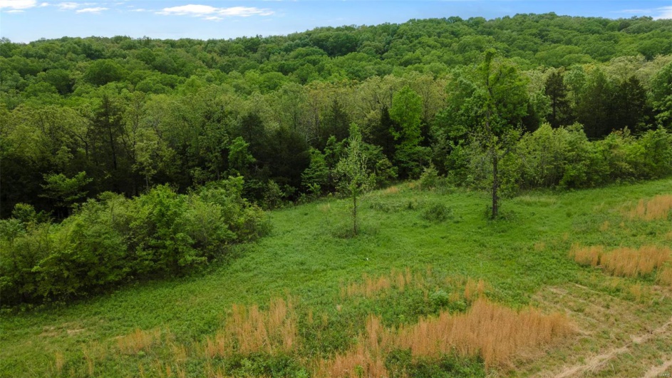 0 Blackberry Hills Rd, Bloomsdale, Missouri 63627, ,Farm,For Sale,Blackberry Hills Rd,MAR25029045
