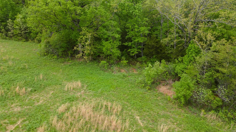 0 Blackberry Hills Rd, Bloomsdale, Missouri 63627, ,Farm,For Sale,Blackberry Hills Rd,MAR25029045