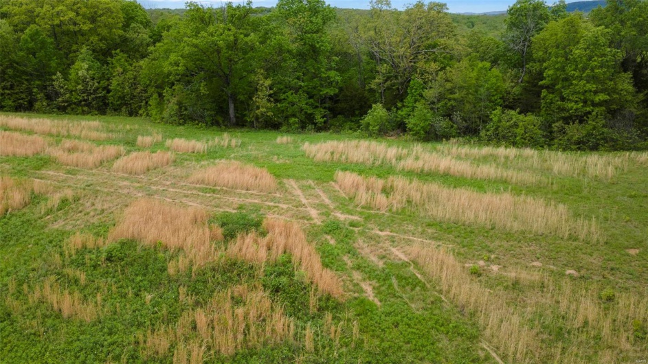 0 Blackberry Hills Rd, Bloomsdale, Missouri 63627, ,Farm,For Sale,Blackberry Hills Rd,MAR25029045