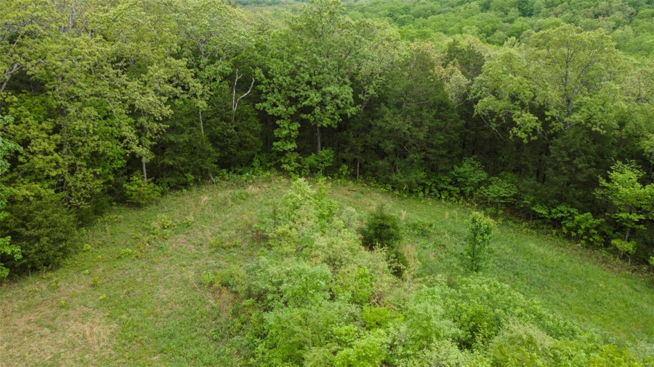 0 Blackberry Hills Rd, Bloomsdale, Missouri 63627, ,Farm,For Sale,Blackberry Hills Rd,MAR25029045