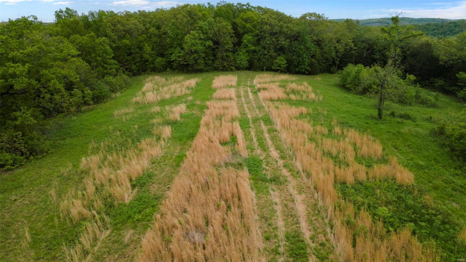 0 Blackberry Hills Rd, Bloomsdale, Missouri 63627, ,Farm,For Sale,Blackberry Hills Rd,MAR25029045