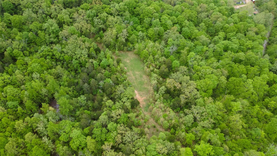 0 Blackberry Hills Rd, Bloomsdale, Missouri 63627, ,Farm,For Sale,Blackberry Hills Rd,MAR25029045