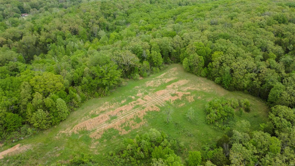 0 Blackberry Hills Rd, Bloomsdale, Missouri 63627, ,Farm,For Sale,Blackberry Hills Rd,MAR25029045