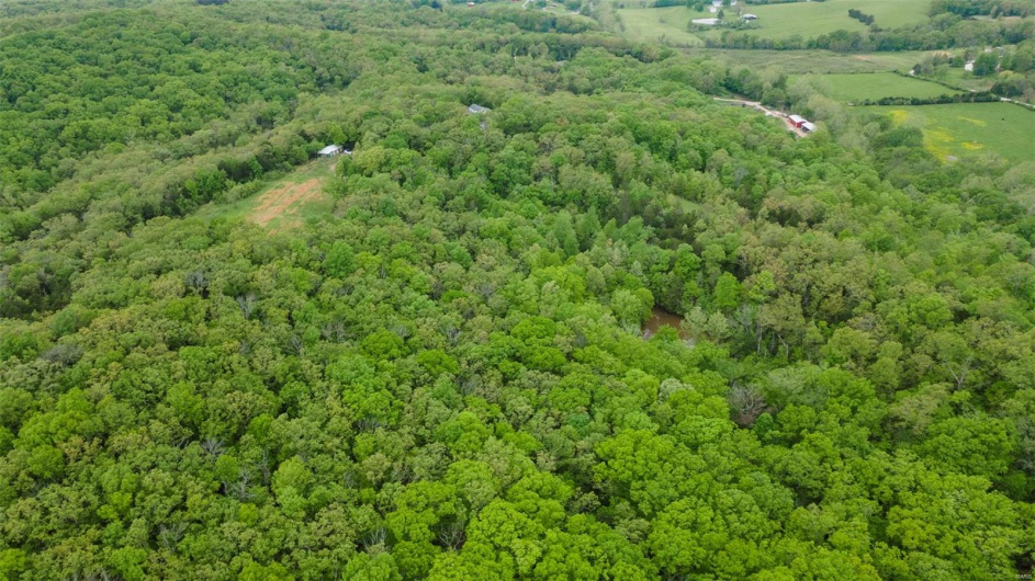 0 Blackberry Hills Rd, Bloomsdale, Missouri 63627, ,Farm,For Sale,Blackberry Hills Rd,MAR25029045