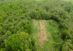 0 Blackberry Hills Rd, Bloomsdale, Missouri 63627, ,Farm,For Sale,Blackberry Hills Rd,MAR25029045