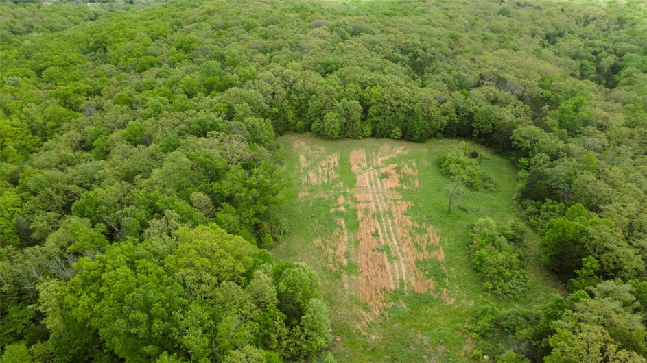 0 Blackberry Hills Rd, Bloomsdale, Missouri 63627, ,Farm,For Sale,Blackberry Hills Rd,MAR25029045