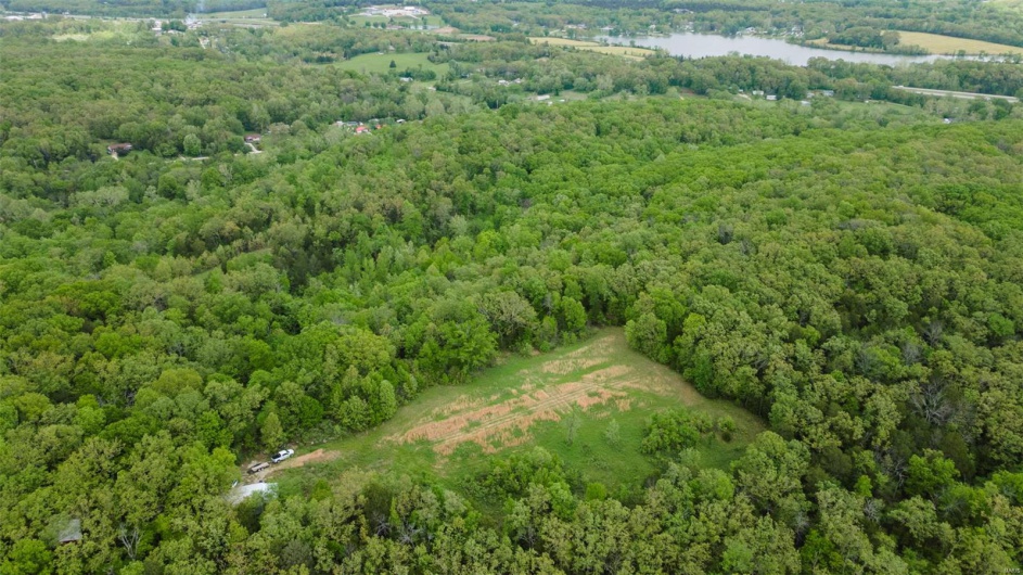 0 Blackberry Hills Rd, Bloomsdale, Missouri 63627, ,Farm,For Sale,Blackberry Hills Rd,MAR25029045