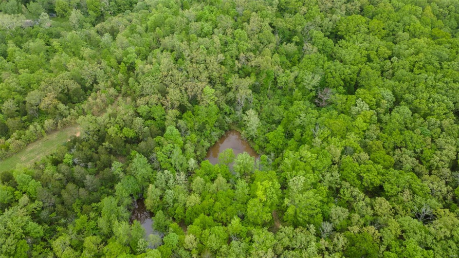 0 Blackberry Hills Rd, Bloomsdale, Missouri 63627, ,Farm,For Sale,Blackberry Hills Rd,MAR25029045