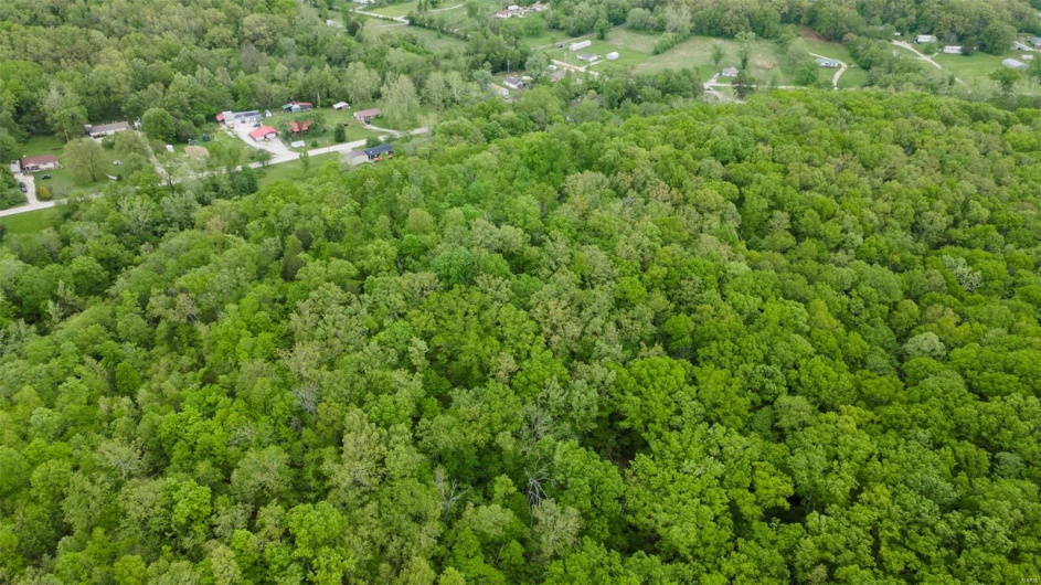0 Blackberry Hills Rd, Bloomsdale, Missouri 63627, ,Farm,For Sale,Blackberry Hills Rd,MAR25029045