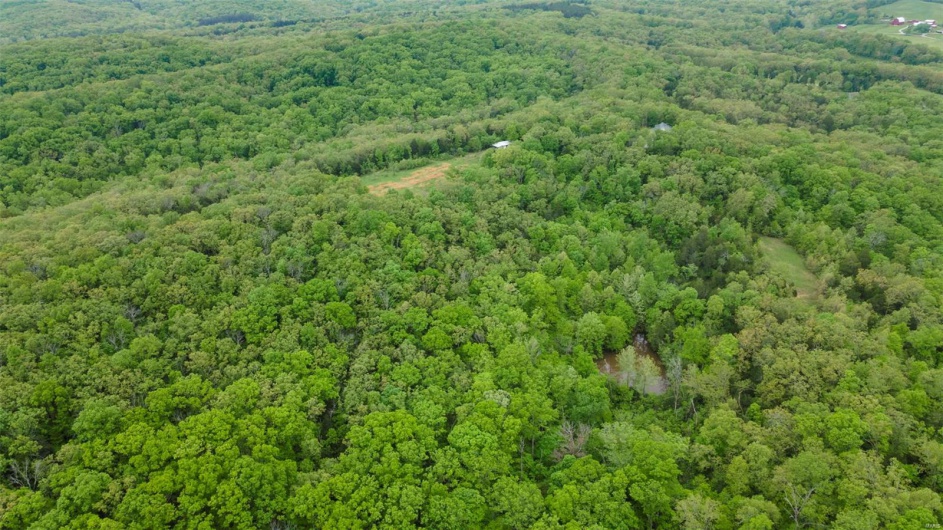 0 Blackberry Hills Rd, Bloomsdale, Missouri 63627, ,Farm,For Sale,Blackberry Hills Rd,MAR25029045