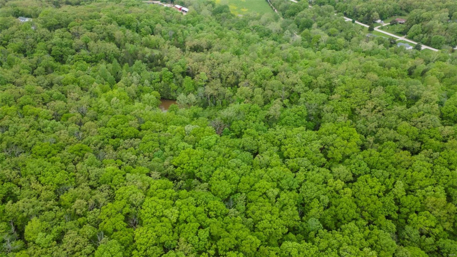 0 Blackberry Hills Rd, Bloomsdale, Missouri 63627, ,Farm,For Sale,Blackberry Hills Rd,MAR25029045