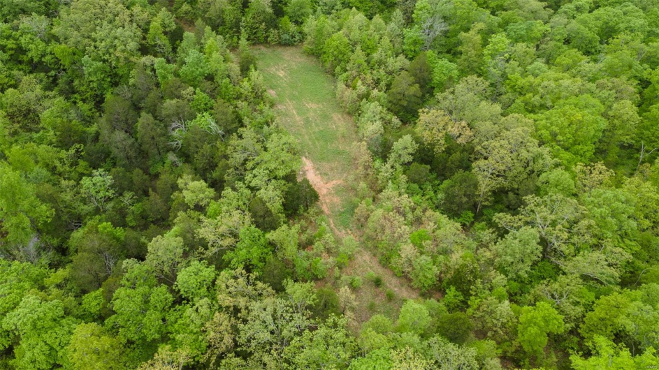 0 Blackberry Hills Rd, Bloomsdale, Missouri 63627, ,Farm,For Sale,Blackberry Hills Rd,MAR25029045